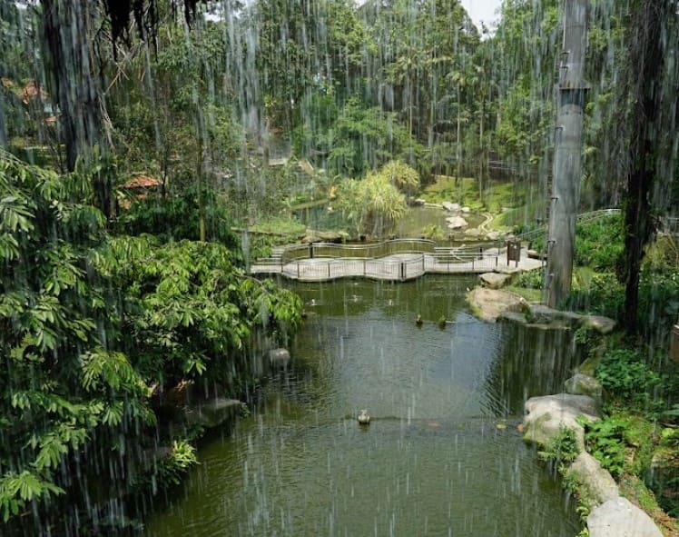 hujan di taman burung kuala lumpur