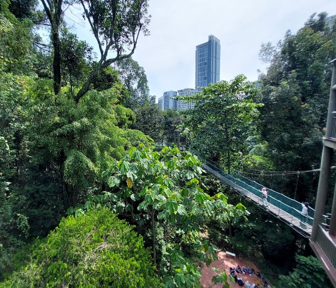 jambatan kanopi di taman eko rimba kl