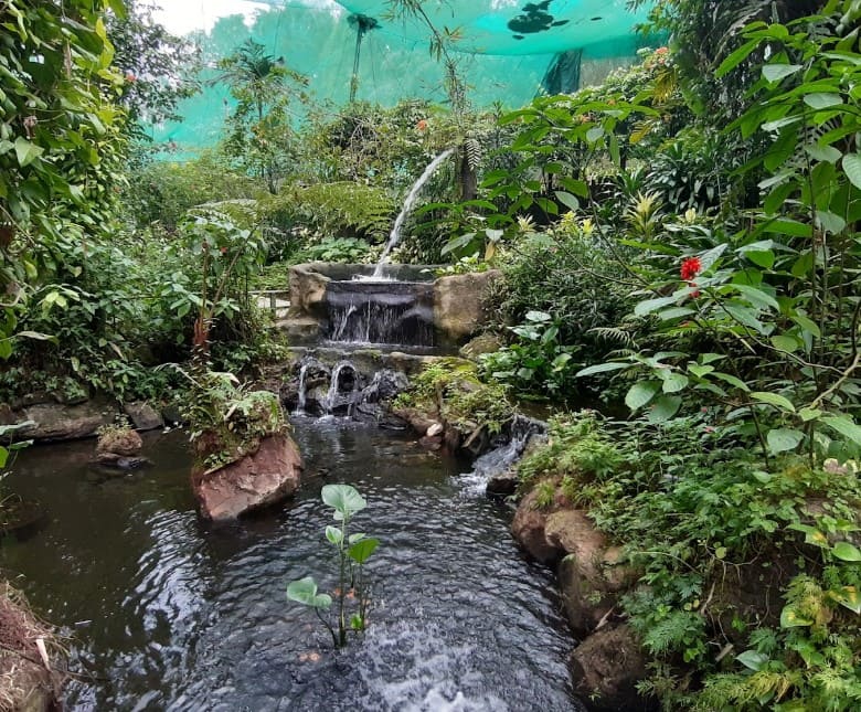 water feature di taman rama rama kl